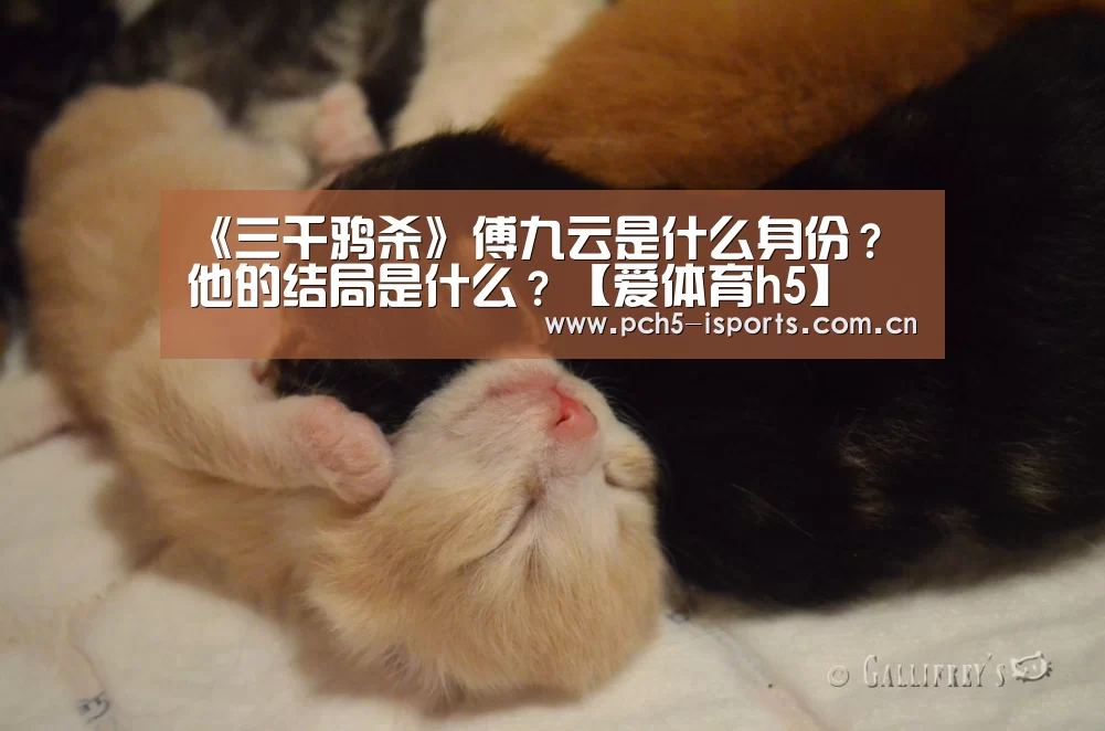 《三千鸦杀》傅九云是什么身份?他的结局是什么?【爱体育h5】(图3) 爱体育APP