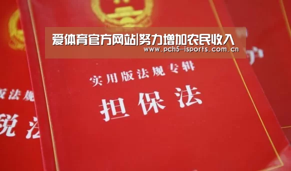 爱体育官方网站|努力增加农民收入(图3) 爱体育平台