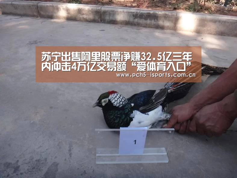 苏宁出售阿里股票净赚32.5亿三年内冲击4万亿交易额“爱体育入口”(图1) 爱体育h5