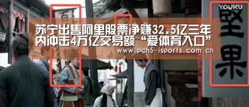 苏宁出售阿里股票净赚32.5亿三年内冲击4万亿交易额“爱体育入口”(图4) 爱体育h5