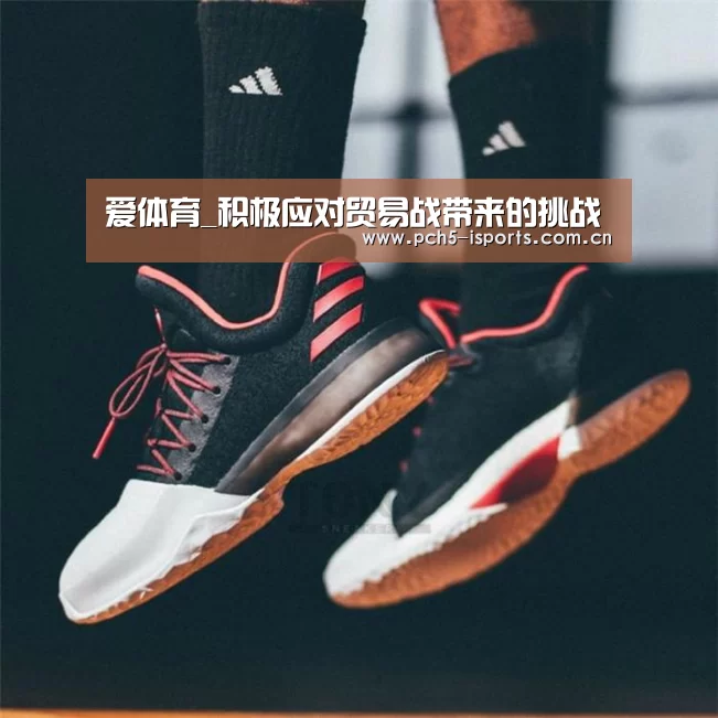 爱体育_积极应对贸易战带来的挑战(图4) 爱体育h5